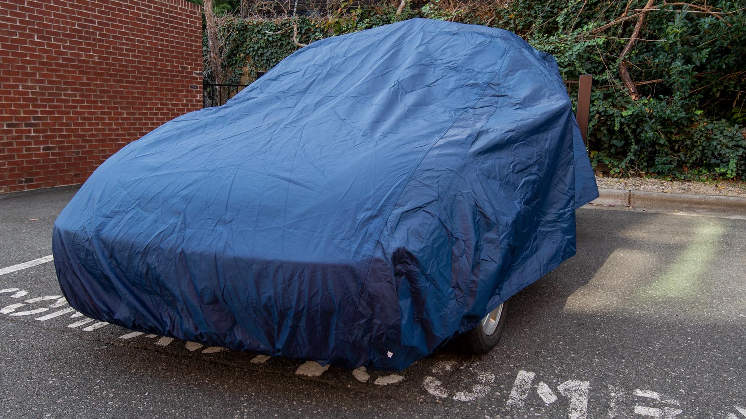 Blue Seal Skin Supreme Car Cover on Ford Focus